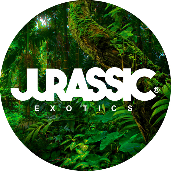 Jurassic Exotics