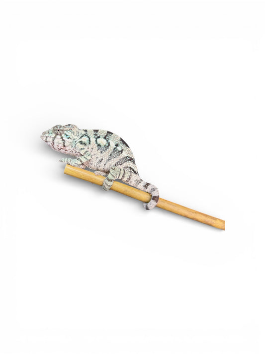 Pure YBBB Ambilobe Female